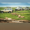 Foot Slopes Tours and Safaris Avatar