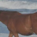 Should you see the Wild Horses in the Outer Banks?