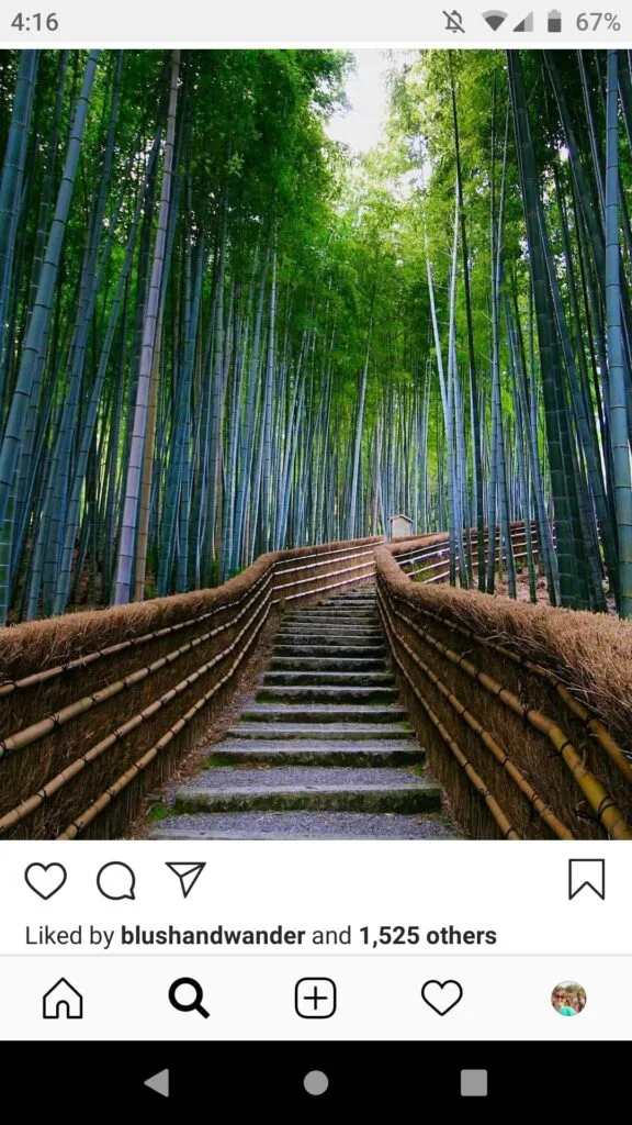 Another Instagram post with a misleading take of the Arashiyama Bamboo grove