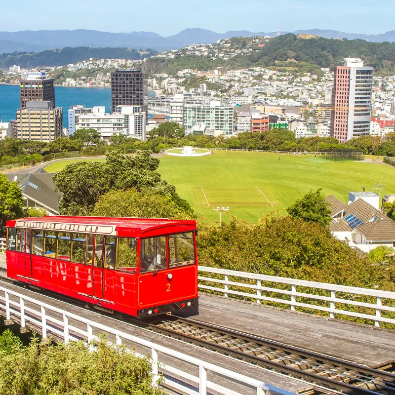 15 Best Things to do in Wellington, New Zealand