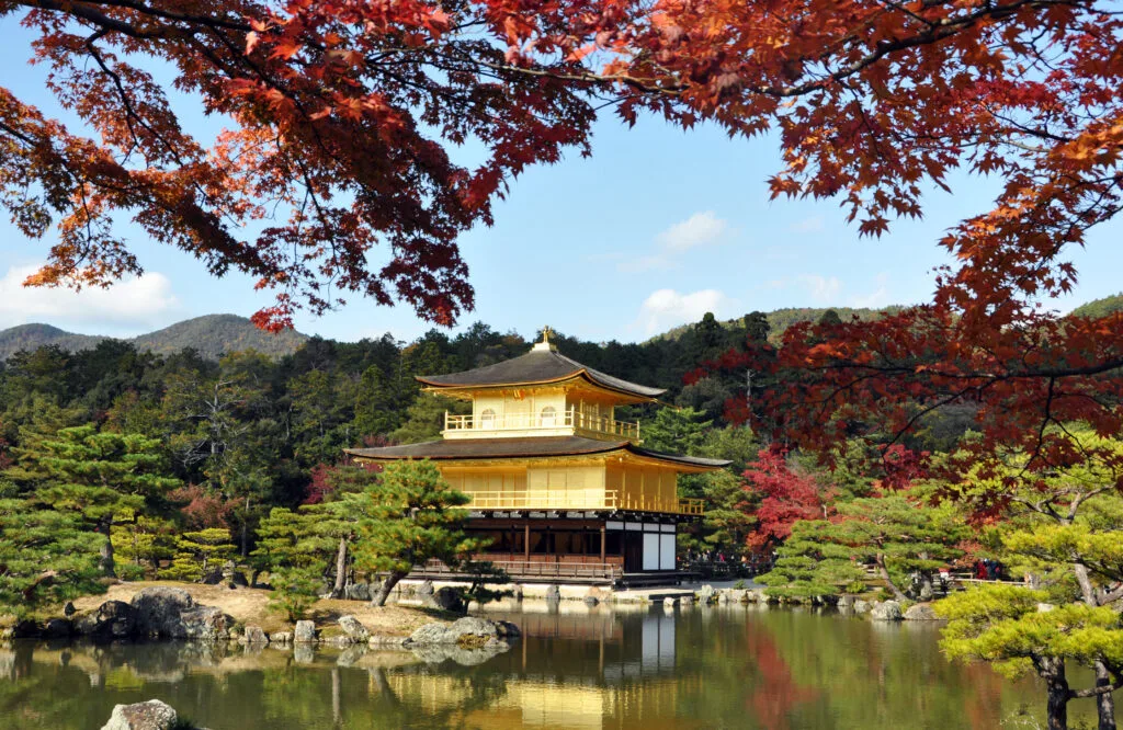 A picturesque view of the Golden Pavilion (Kinkaku-ji) in Kyoto, framed by vibrant autumn foliage.