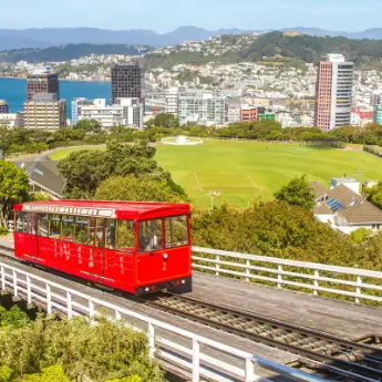 15 Best Things to do in Wellington, New Zealand