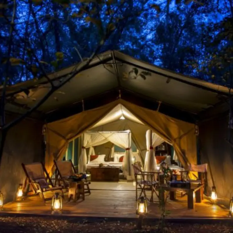 Kenya Safari Accommodation: Mara Bush Camp Review