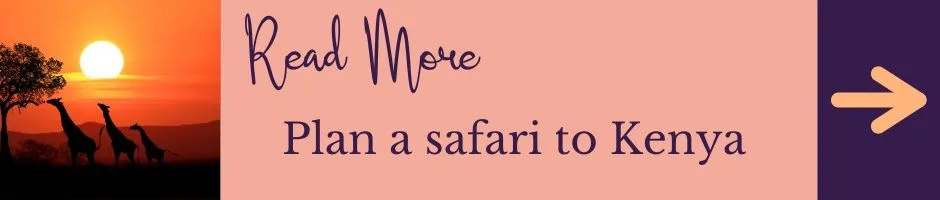 Read More: Plan a safari to Kenya