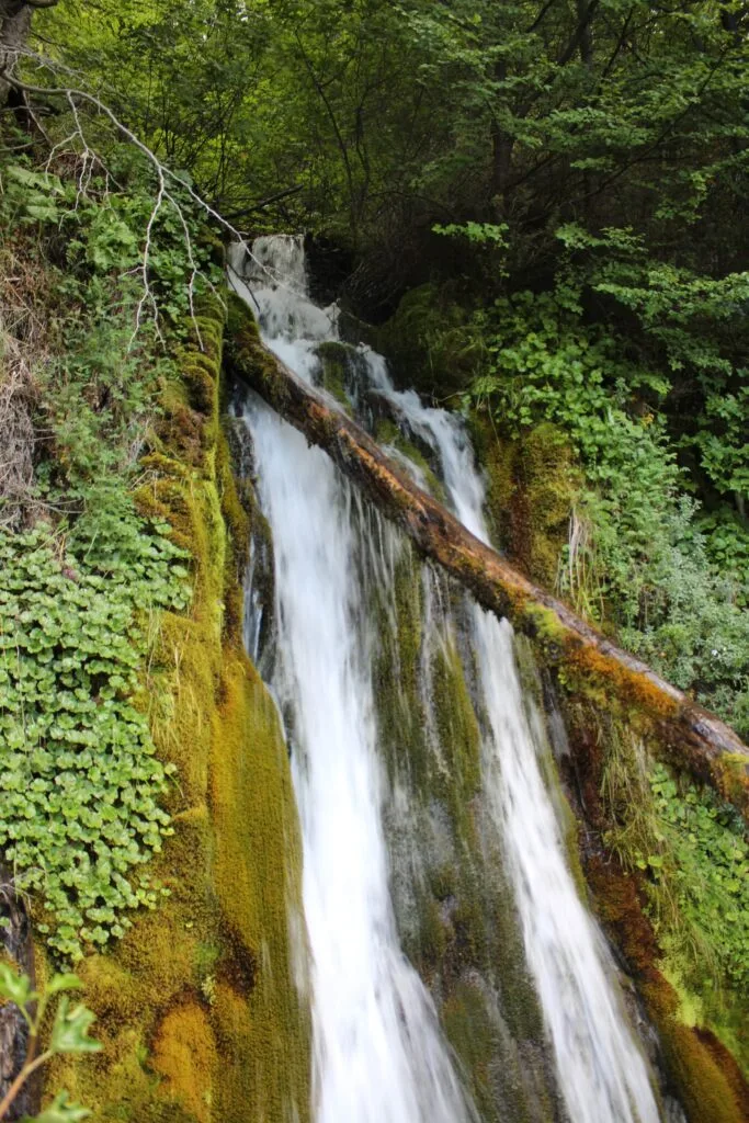 A waterfall spotted at La Macarena Station while riding the train at the end of the world. 