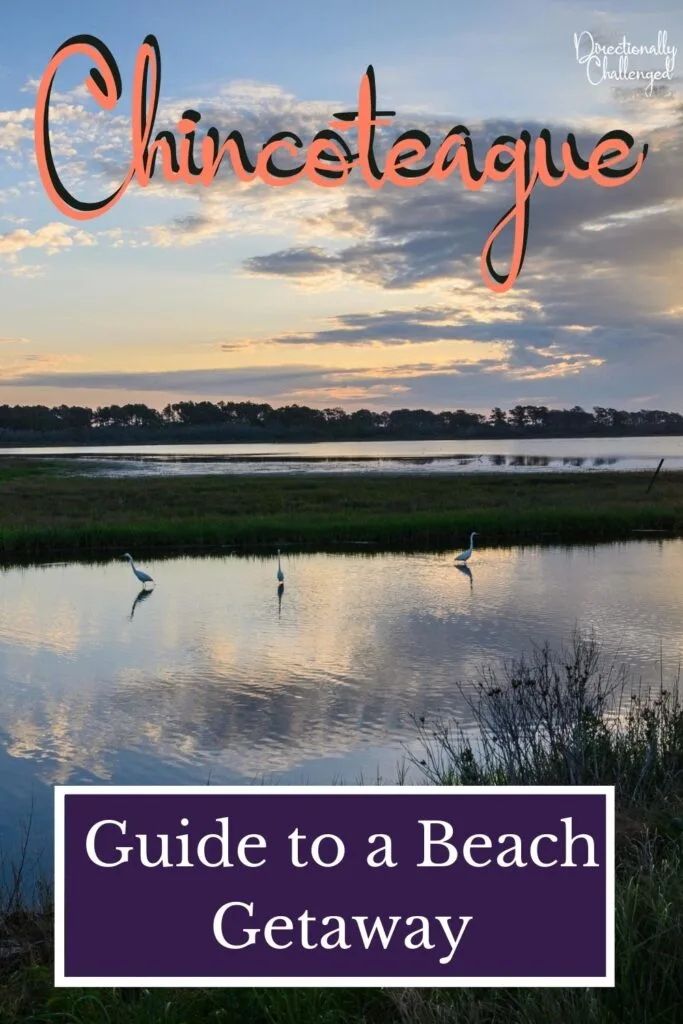 Chincoteague: Guide to a beach getaway