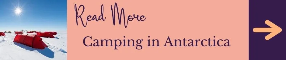 Read More: Camping in Antarctica