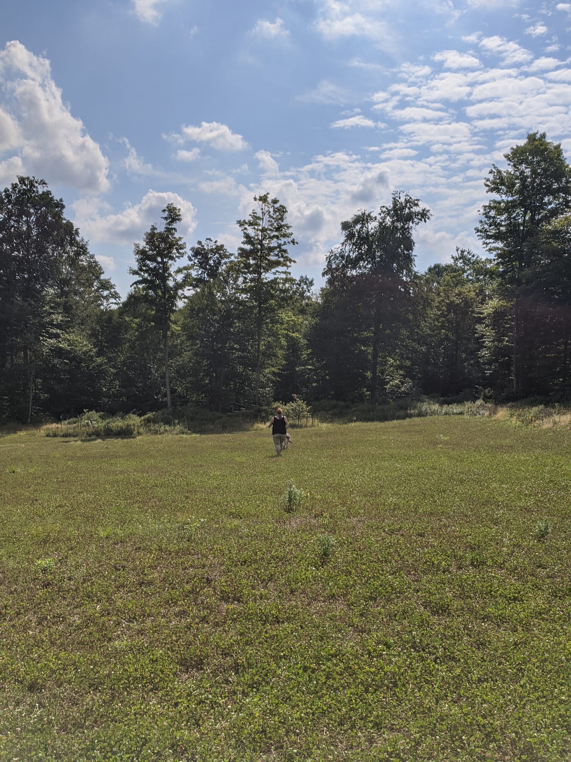 Visiting Cherry Springs State Park in Pennsylvania