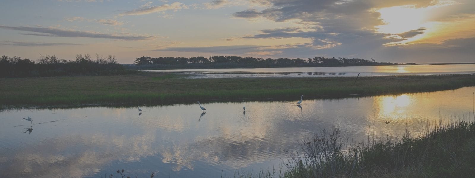 7 Best Places to Eat in Chincoteague (with a map!)