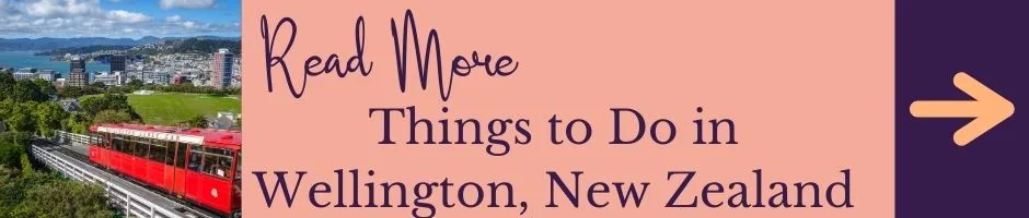 Read More: Things to do in Wellington, New Zealand
