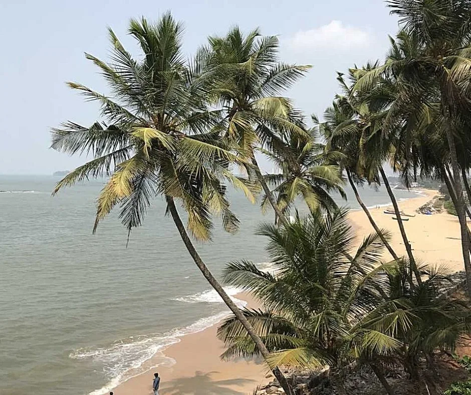 Beach in Aruba with palm trees. Aruba is one of the best places to celebrate NYE in the world. 