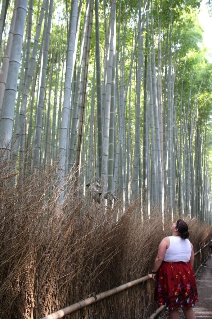 Pam admiring the towering bamboo stalks at the Arashiyama Bamboo Grove in Kyoto.