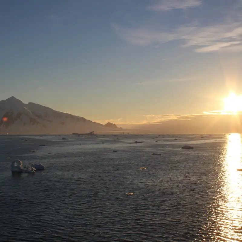 Visit Antarctica through 40+ (unedited) photos