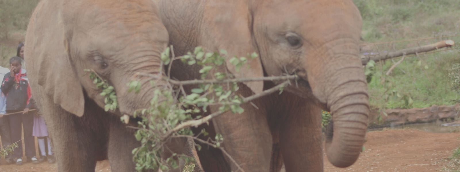 8 Christmas Travel Movies