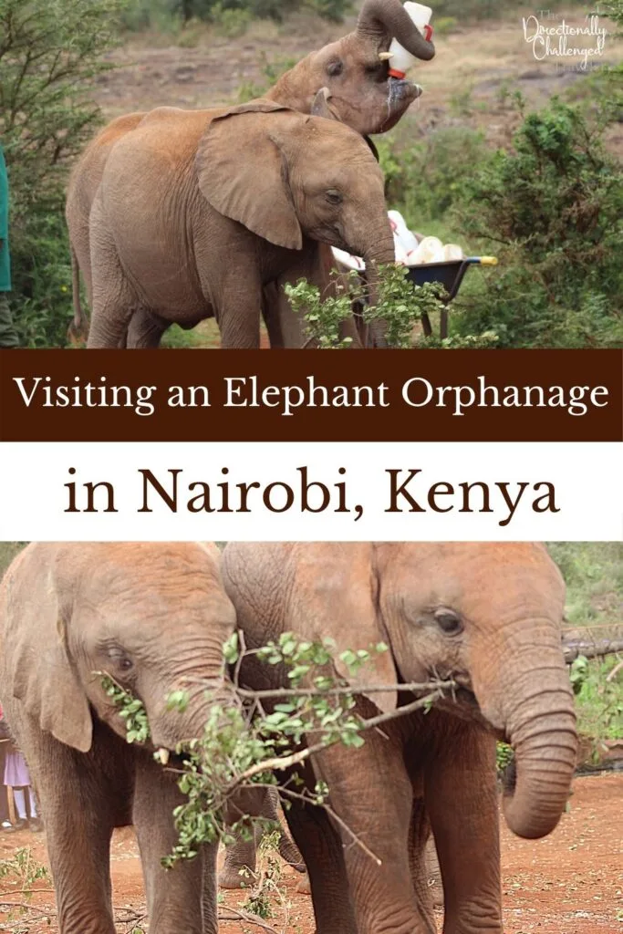 Visit the Sheldrick Wildlife Trust, an ethical elephant orphanage, in Nairobi pin. 