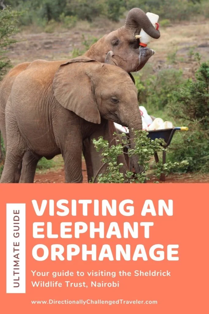 Visit the Sheldrick Wildlife Trust, an ethical elephant orphanage, in Nairobi pin. 