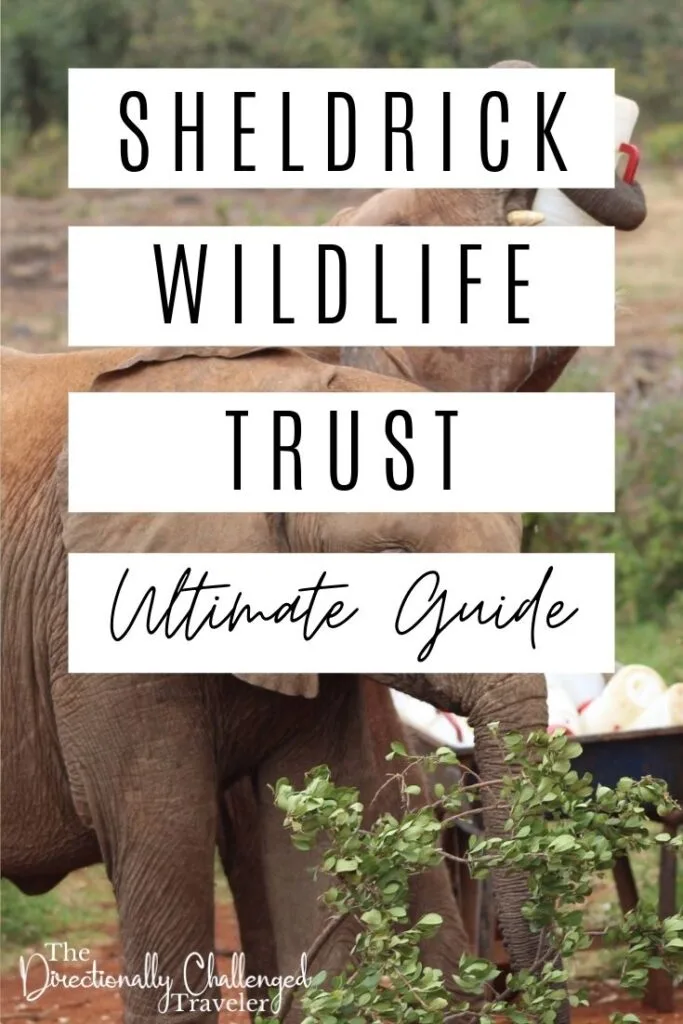 Visit the Sheldrick Wildlife Trust, an ethical elephant orphanage, in Nairobi pin. 