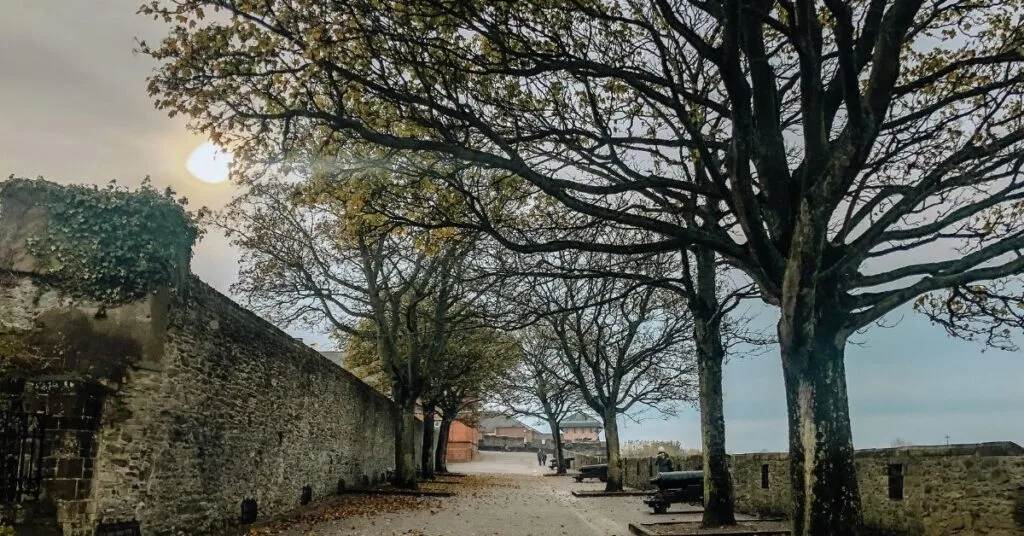 Londonderry city limits, with wide wall with trees