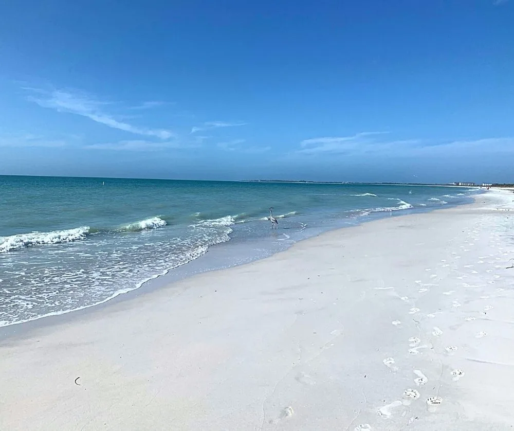 Clearwater, Florida is one of the best destinations in the USA to visit. 