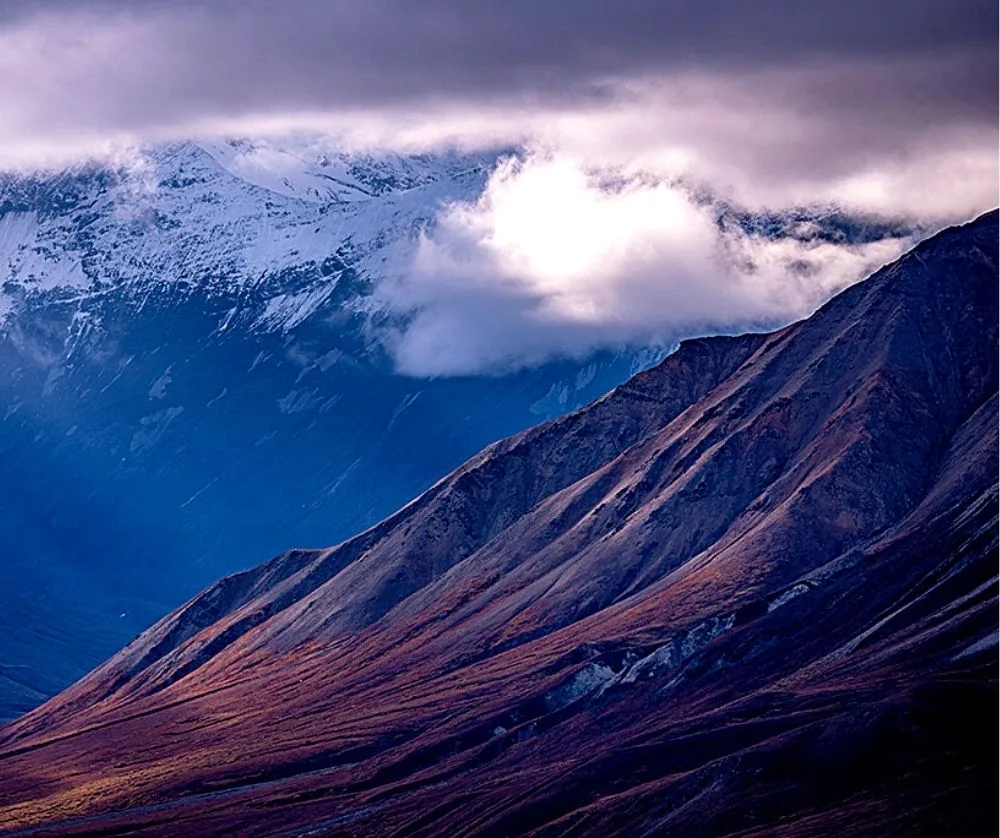 Denali National Park is one of the best destinations to visit in the USA. 