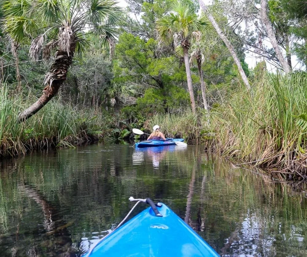 The Everglades in Florida is one of the best destinations in the USA to visit. 