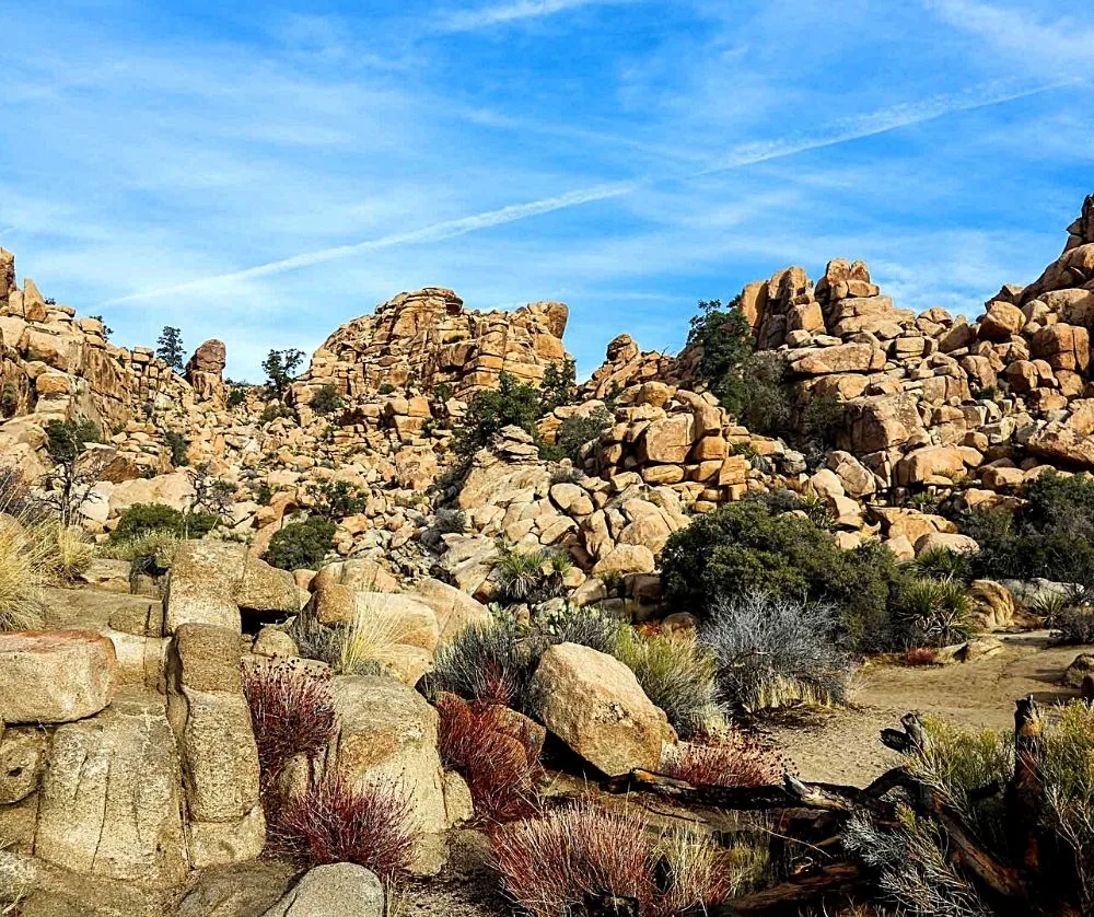 Joshua Tree is one of the best destinations to visit in the USA. 