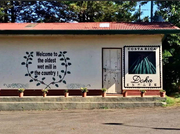 Doka Coffee Estate is one of the best things to do in San Jose, Costa Rica.