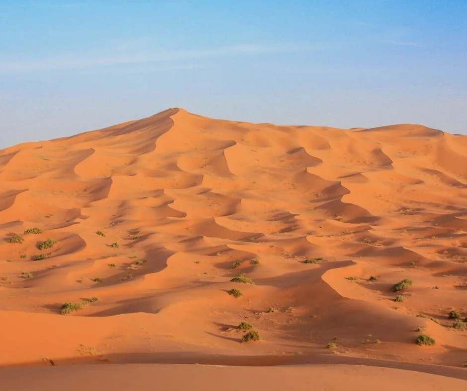 The golden sand dunes of the Sahara Desert, with rippling patterns under a clear blue sky.