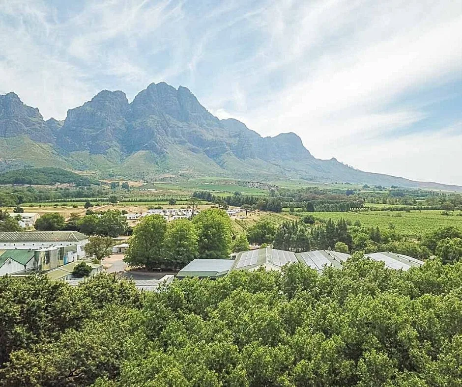 Stellenbosch landscape