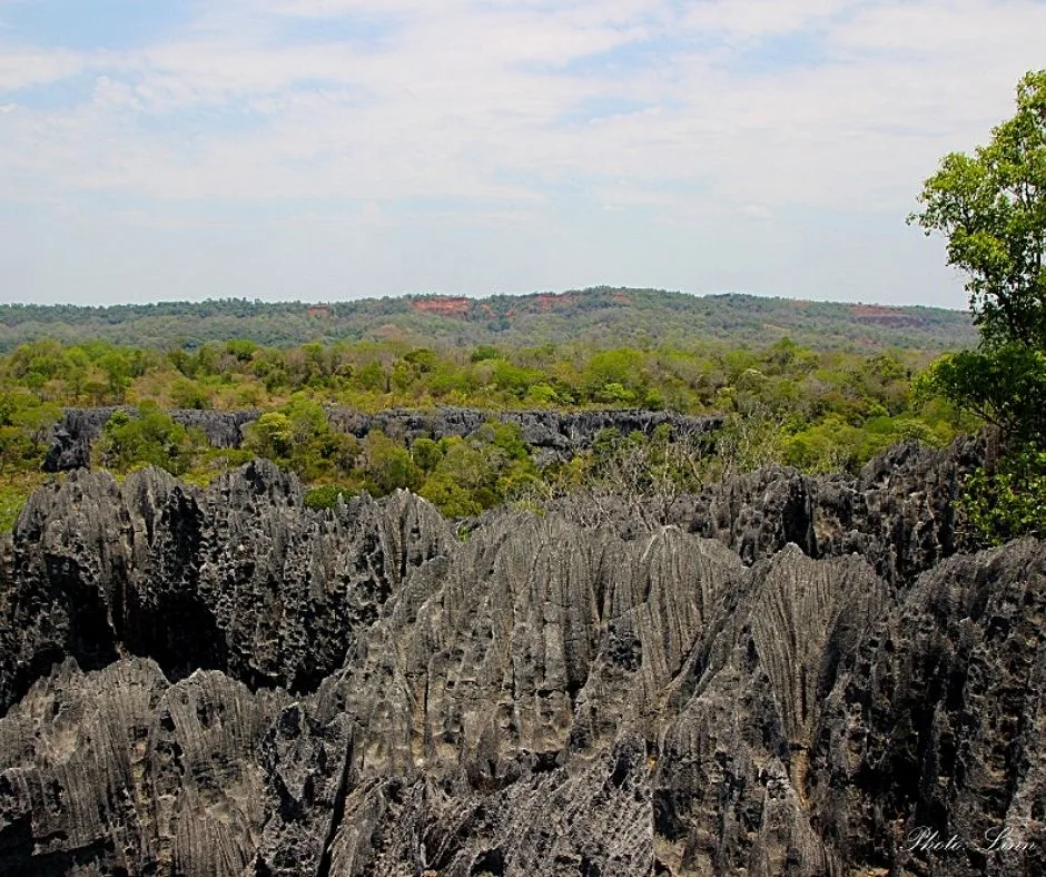 Tsingy de Bemaraha in Madagascar