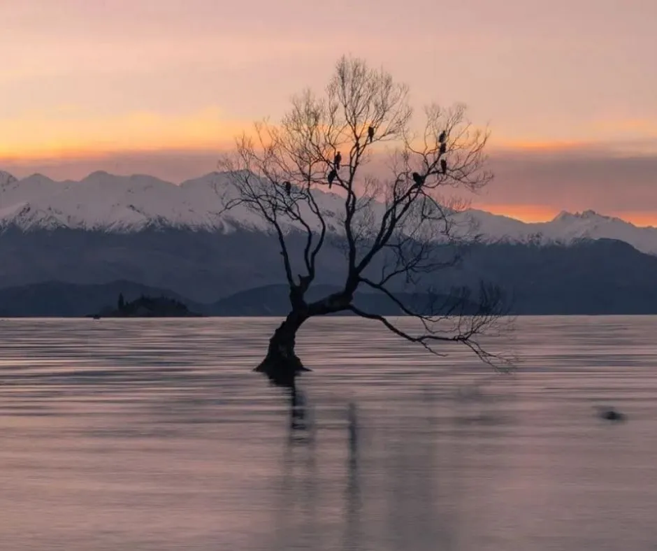 Wanaka is one of the most beautiful small towns on New Zealand's south island.
