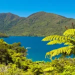 9 Best Small Towns in New Zealand’s North Island