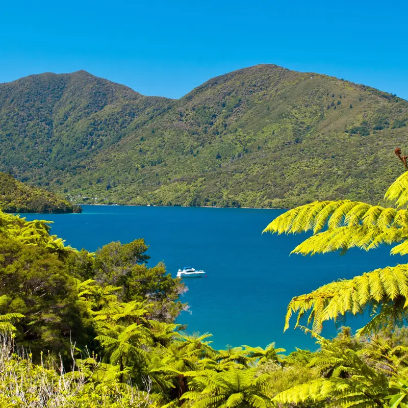 9 Best Small Towns in New Zealand’s North Island