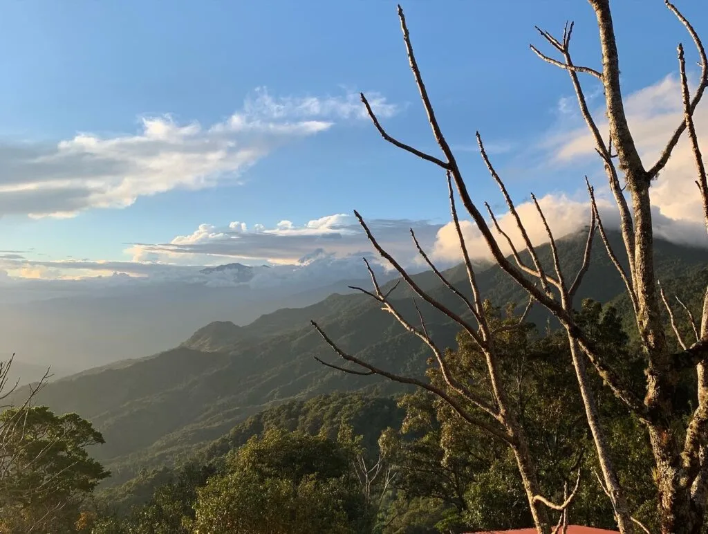 View from a hike in the Fortuna Forest, Panama, showing distant mountains and a bare tree in the foreground.