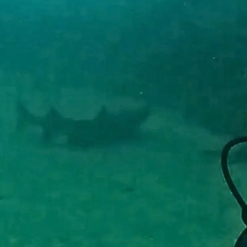 Scuba Diving in Costa Rica