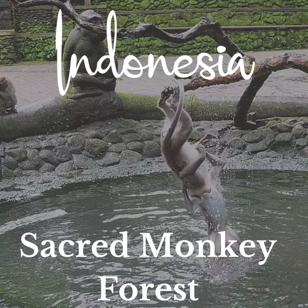 Sacred Monkey Forest in Indonesia