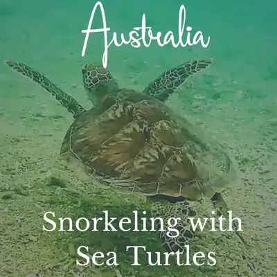 Swim with Sea Turtles Australia