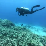 5 Best Places to go Scuba Diving in Hawaii