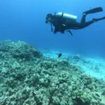5 Best Places to go Scuba Diving in Hawaii