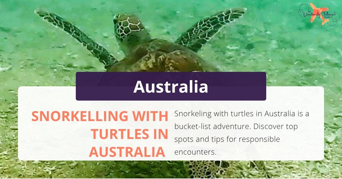 Snorkelling with Turtles in Australia 