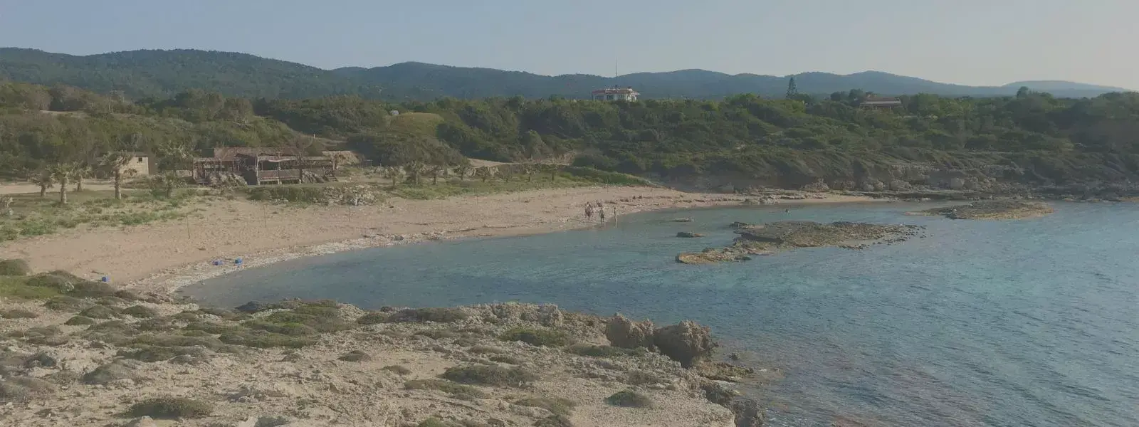 Help Sea Turtles in North Cyprus