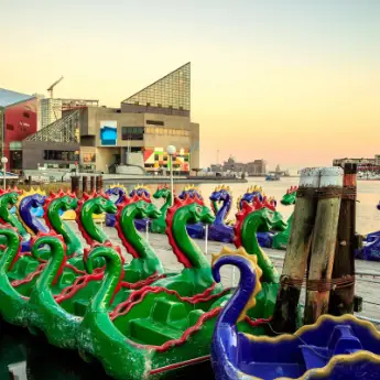 14 Best Places to Visit in Spring in Maryland