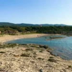 Help Sea Turtles in North Cyprus
