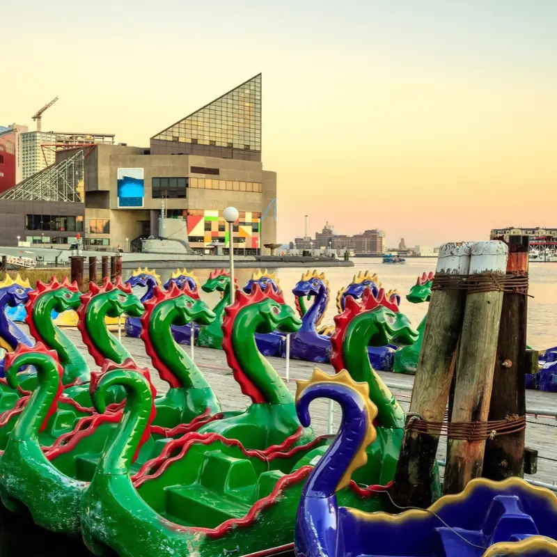 14 Best Places to Visit in Spring in Maryland