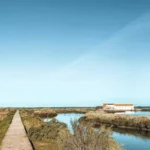 Bird Watching in Sado Estuary Natural Reserve