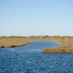 Bird Watching in Ria Formosa Natural Park, Portugal