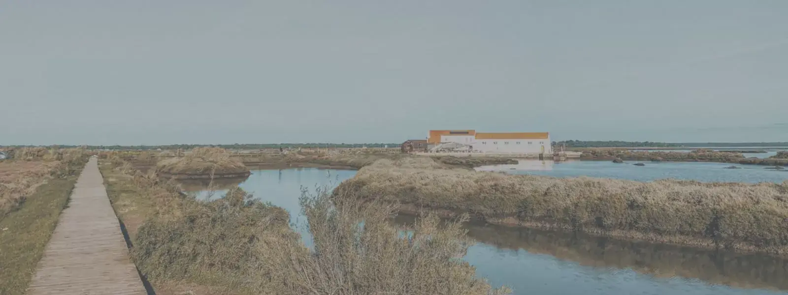 Bird Watching in Sado Estuary Natural Reserve