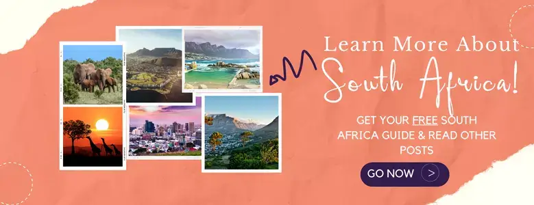 Read More about South Africa
