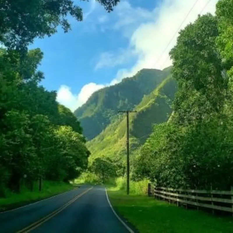 15 Best Things to do in Maui, Hawaii