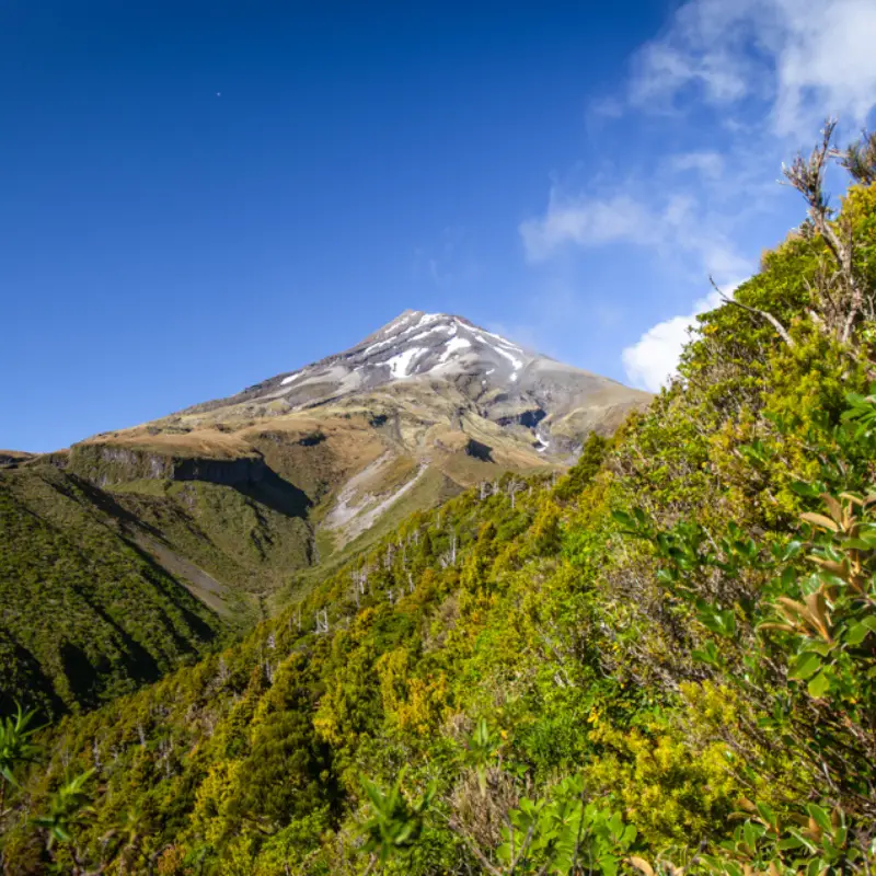 Best Hikes on New Zealand’s North Island